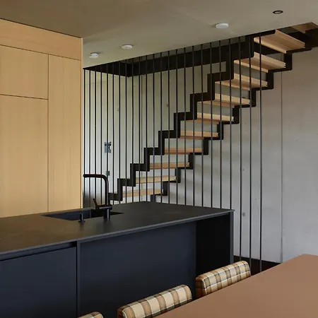 Architektenhaus Rhaa Mit Terrassen * Altach